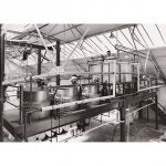 Catomance Ltd