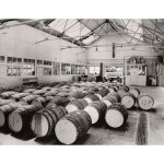 Catomance Ltd