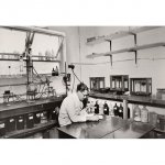 Catomance Ltd