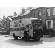 Shredded Wheat
