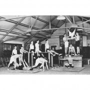WGC sports 