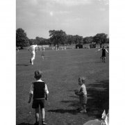 WGC sports 