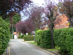 WGC House 4